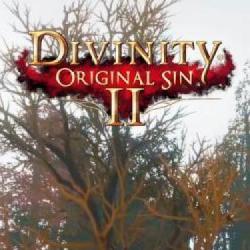 Divinity: Original Sin II otrzyma konsole wydanie pudełkowe!