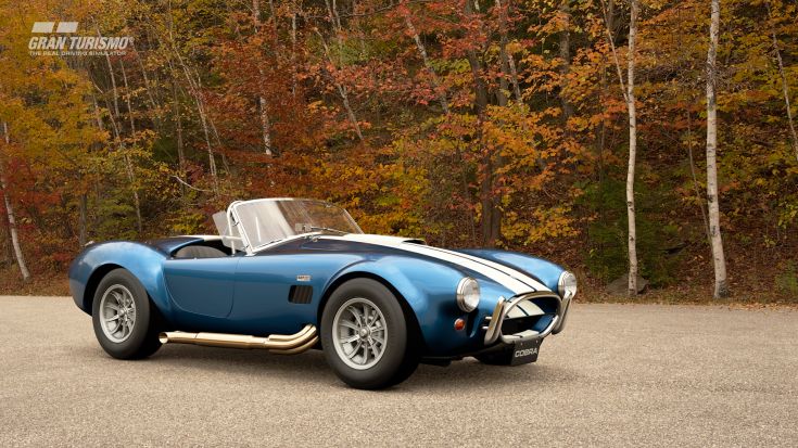 Shelby Cobra 427 (N500)