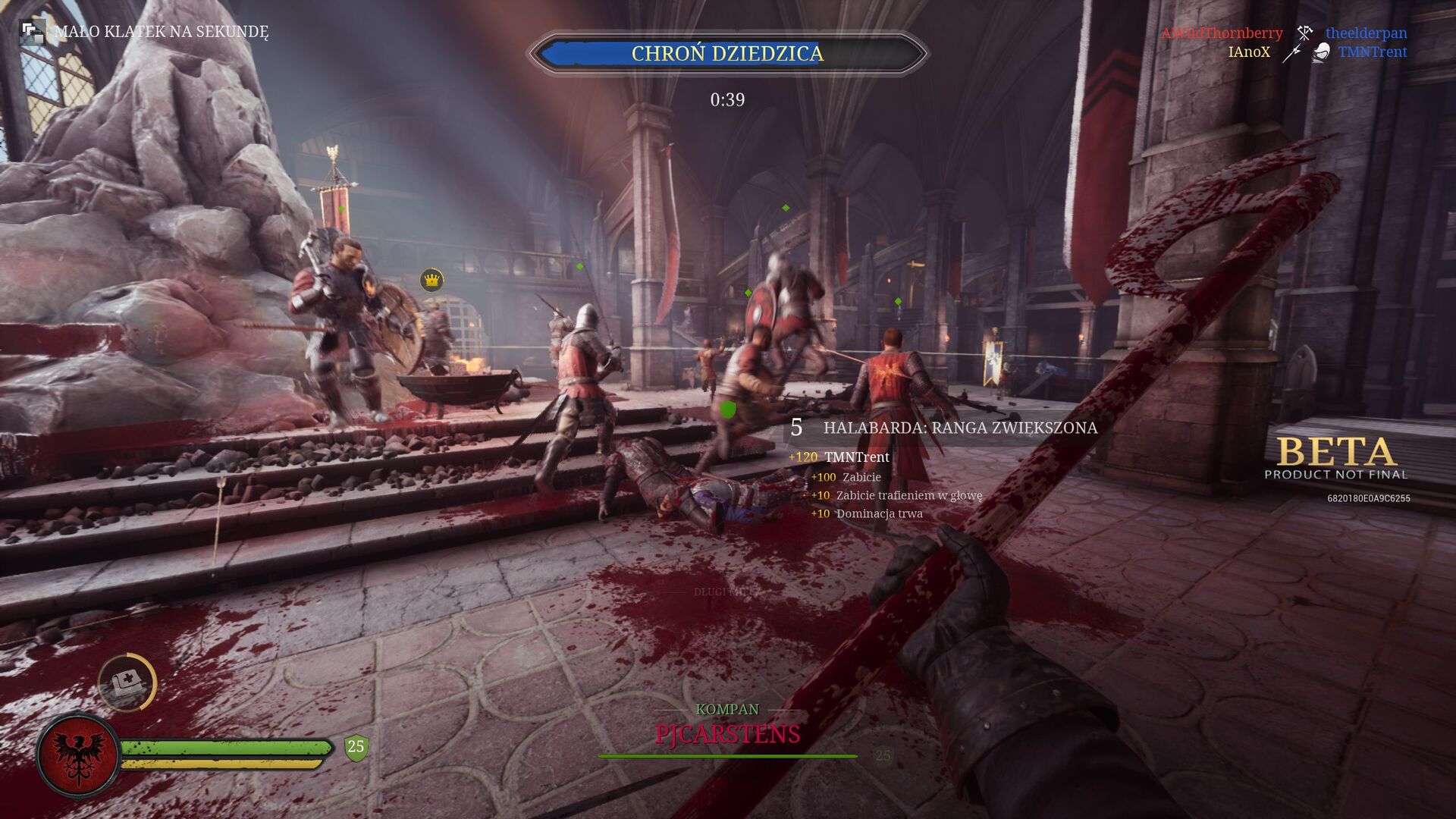 chivalry_2_beta_przedp_opinia_13_