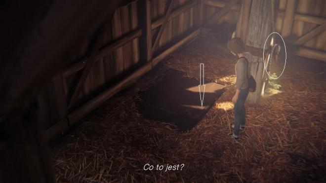 Life_is_Strange_50.jpg