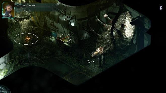 Stasis_44.jpg