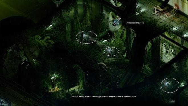 Stasis_46.jpg