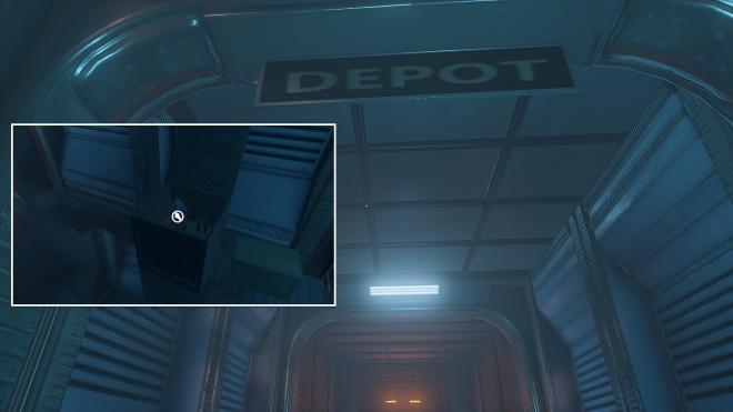 Conarium_17.jpg