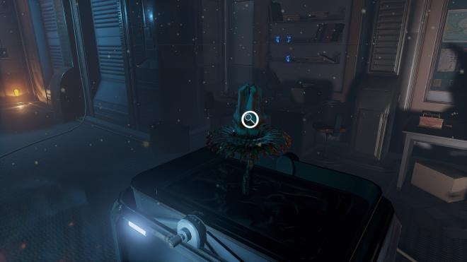Conarium_19.jpg