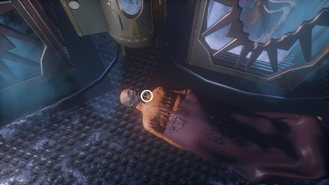 Conarium_20.jpg
