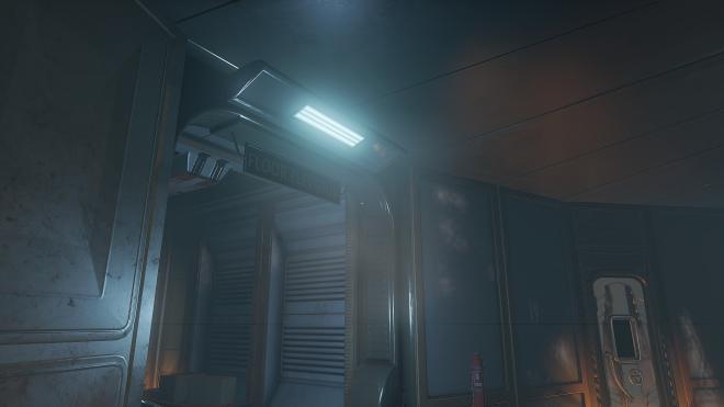 Conarium_25.jpg