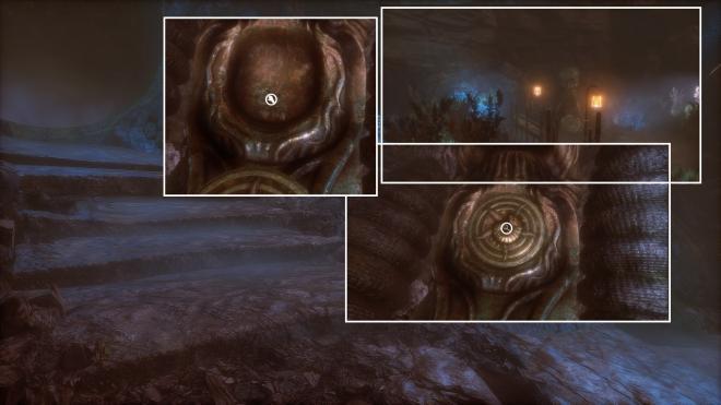 Conarium_32.jpg