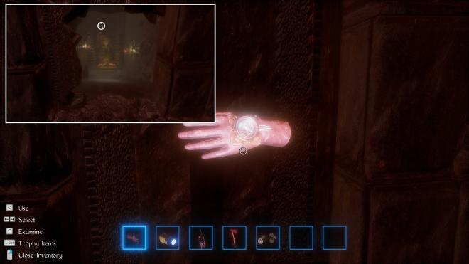 Conarium_33.jpg