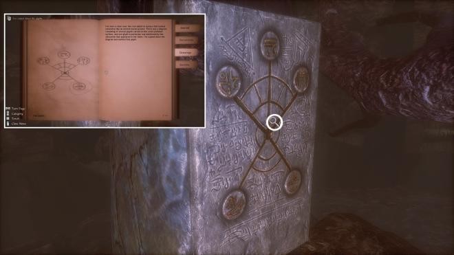 Conarium_38.jpg