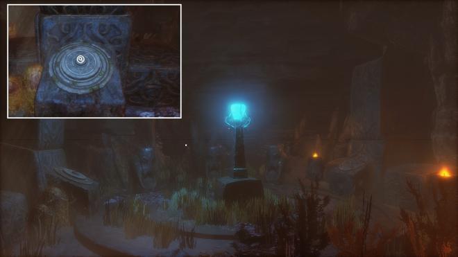 Conarium_39.jpg