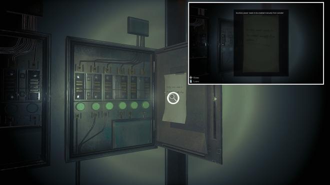 Conarium_4.jpg