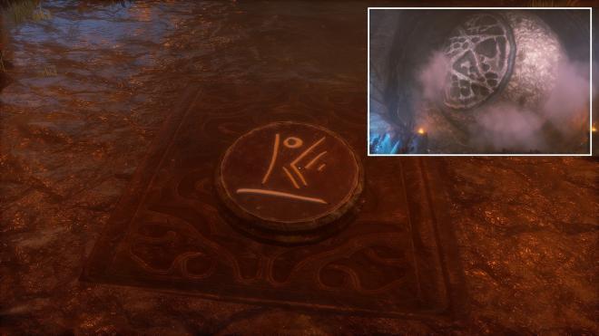 Conarium_41.jpg