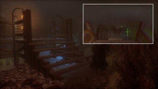 Conarium_43.jpg
