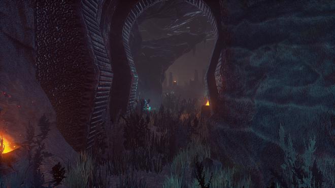 Conarium_51.jpg