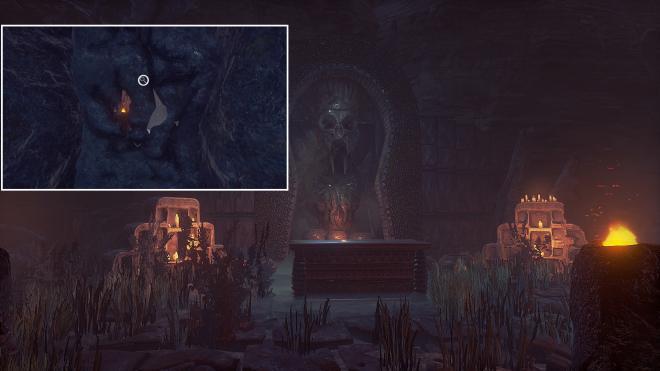 Conarium_52.jpg