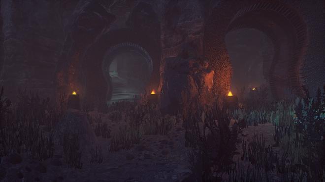 Conarium_54.jpg