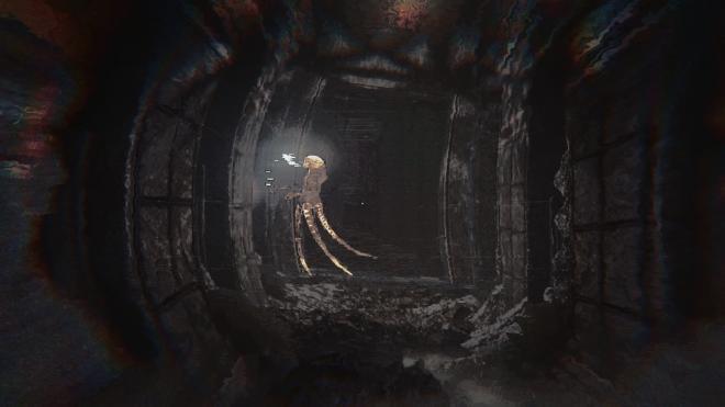 Conarium_69.jpg