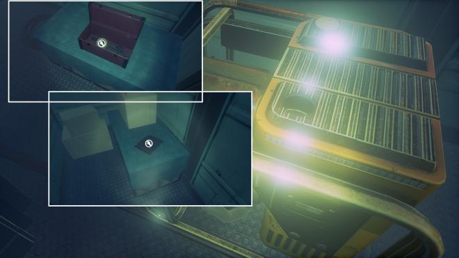 Conarium_7.jpg