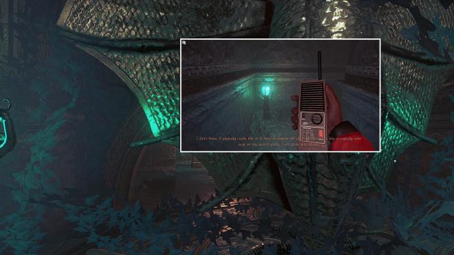 Conarium_71.jpg