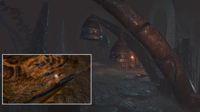 Conarium_72.jpg