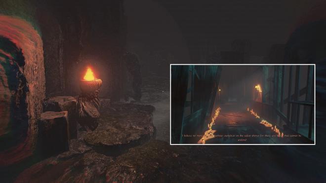 Conarium_73.jpg