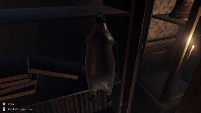 Conarium_77.jpg