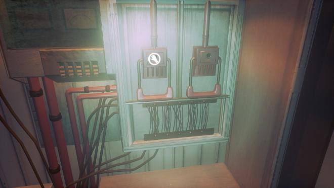 Conarium_8.jpg