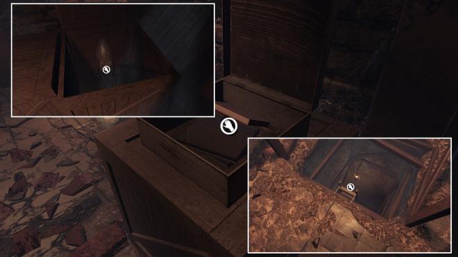 Conarium_80.jpg