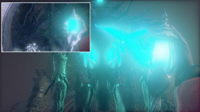 Conarium_94.jpg