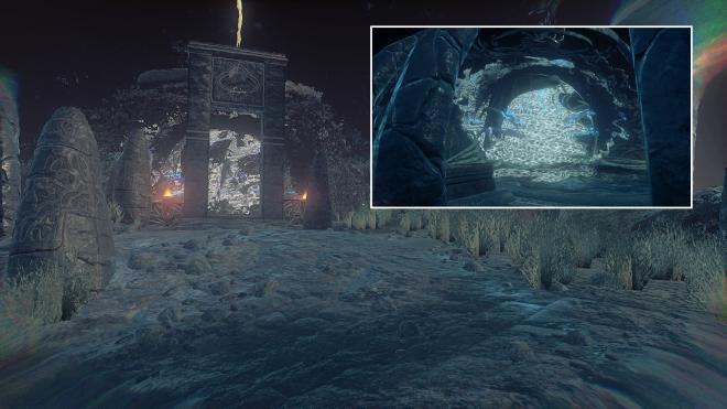 Conarium_95.jpg