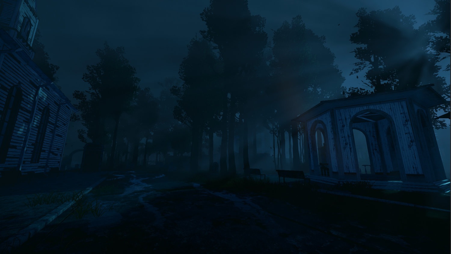 Nightwalk_2