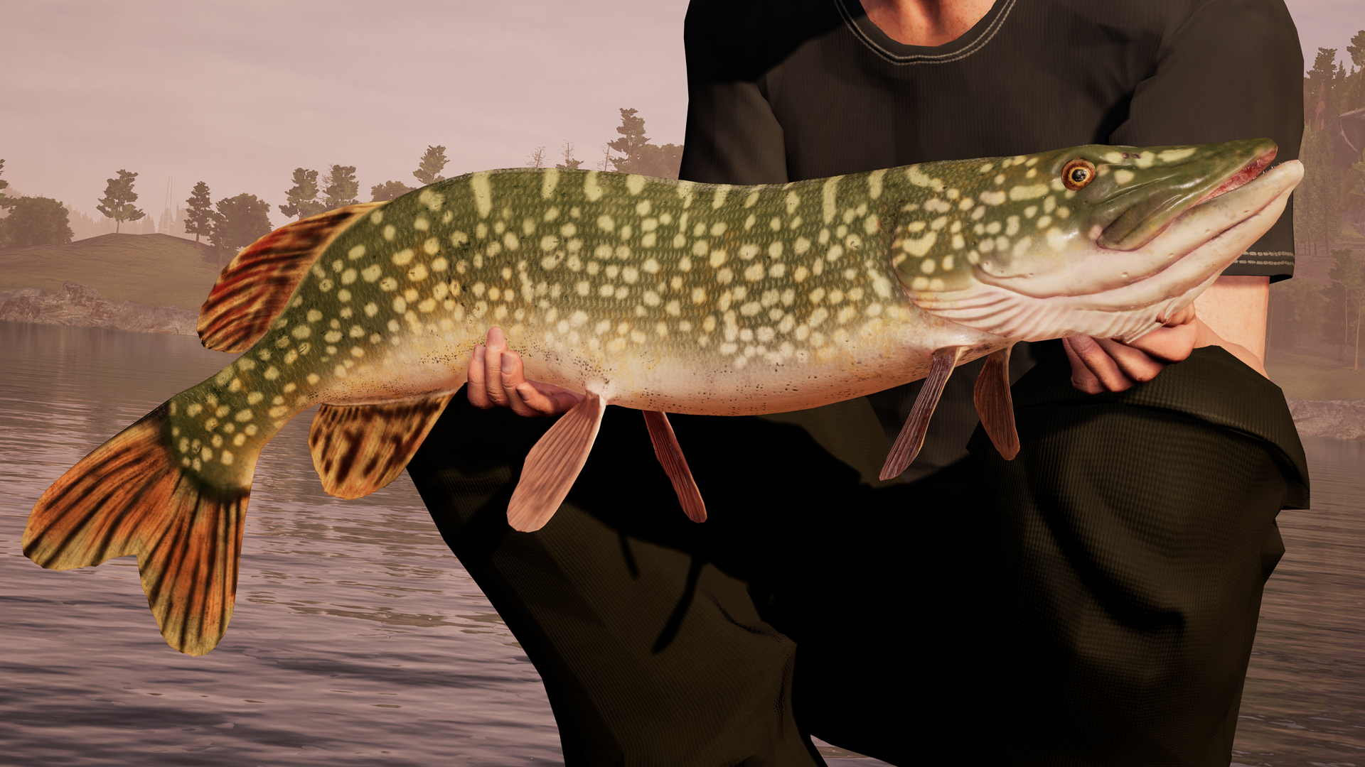 Fishing Sim World-news
