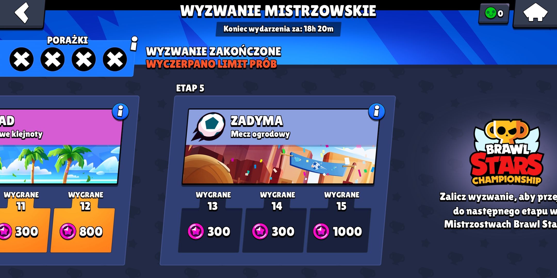 wyzwanie-mistrzowskie-etap-5